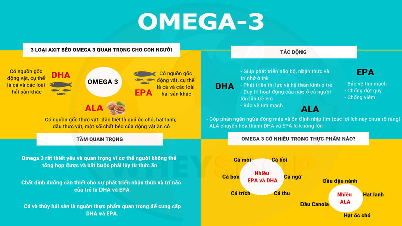  Vai trò của Omega 3 đối với cơ thể chúng ta 